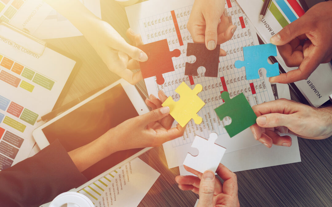 The Critical Role of Diversity, Equity, and Inclusion in Executive Leadership